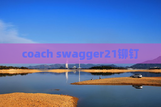 coach swagger21铆钉